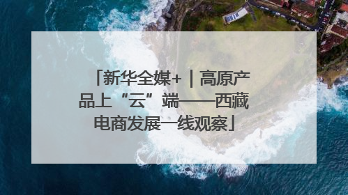 新华全媒+｜高原产品上“云”端——西藏电商发展一线观察