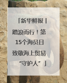 新华鲜报丨踏浪而行！第15个海员日致敬海上贸易“守护人”