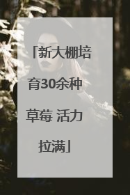 新大棚培育30余种草莓 活力拉满