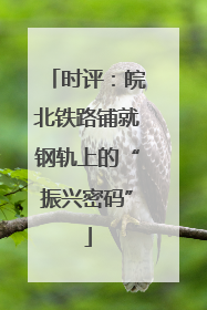 时评：皖北铁路铺就钢轨上的“振兴密码”