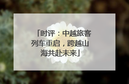 时评：中越旅客列车重启，跨越山海共赴未来