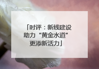 时评：新线建设助力“黄金水道”更添新活力