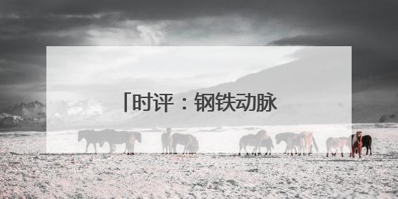 时评：钢铁动脉推动皖赣区域协同发展新格局