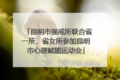 昆明市强戒所联合省一所、省女所参加昆明市心理赋能运动会