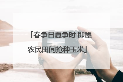 春争日夏争时 即墨农民田间抢种玉米