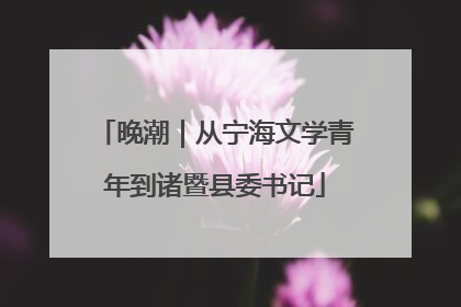 晚潮｜从宁海文学青年到诸暨县委书记