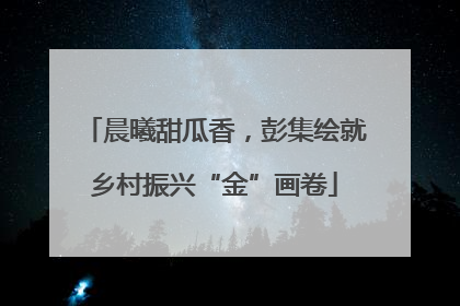 晨曦甜瓜香，彭集绘就乡村振兴“金”画卷