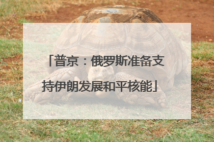 普京：俄罗斯准备支持伊朗发展和平核能