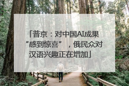 普京：对中国AI成果“感到惊喜”，俄民众对汉语兴趣正在增加
