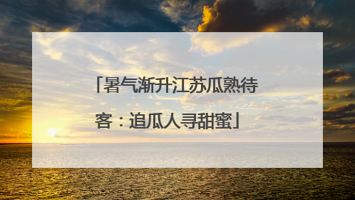 暑气渐升江苏瓜熟待客：追瓜人寻甜蜜