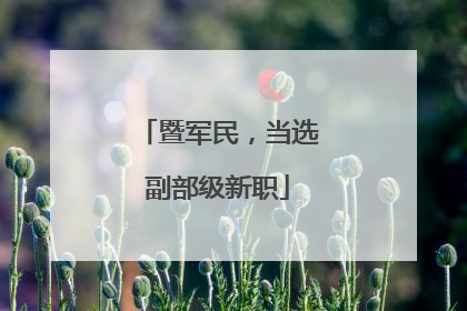 暨军民，当选副部级新职
