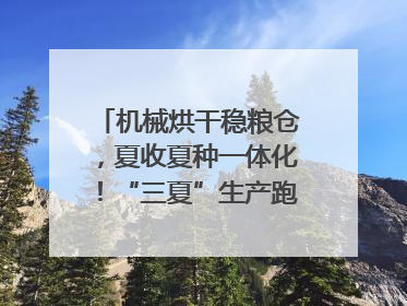 机械烘干稳粮仓，夏收夏种一体化！“三夏”生产跑出加速度｜麦报