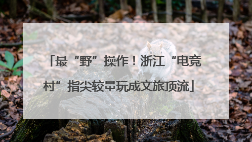 最“野”操作！浙江“电竞村”指尖较量玩成文旅顶流