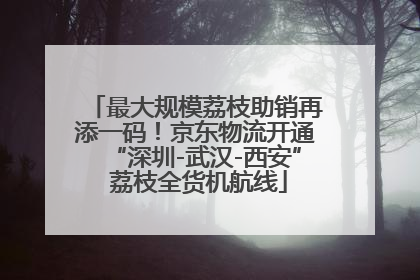 最大规模荔枝助销再添一码！京东物流开通“深圳-武汉-西安” 荔枝全货机航线