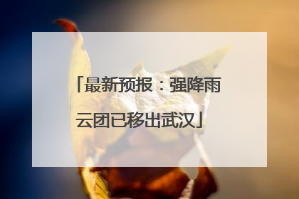 最新预报：强降雨云团已移出武汉