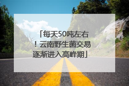 每天50吨左右！云南野生菌交易逐渐进入高峰期