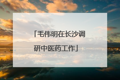 毛伟明在长沙调研中医药工作