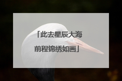 此去星辰大海 前程锦绣如画