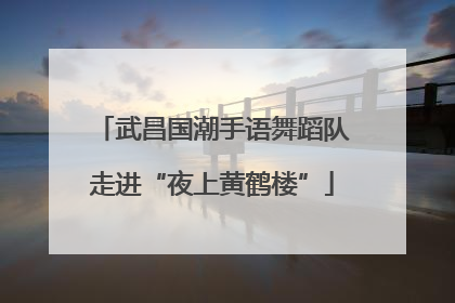 武昌国潮手语舞蹈队走进“夜上黄鹤楼”