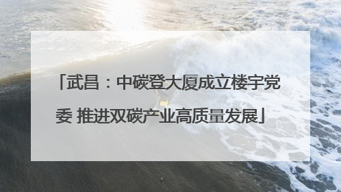 武昌：中碳登大厦成立楼宇党委 推进双碳产业高质量发展