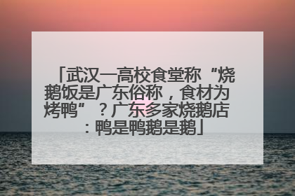 武汉一高校食堂称“烧鹅饭是广东俗称，食材为烤鸭”？广东多家烧鹅店：鸭是鸭鹅是鹅