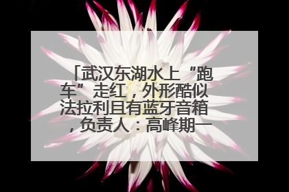 武汉东湖水上“跑车”走红，外形酷似法拉利且有蓝牙音箱，负责人：高峰期一两百人排队