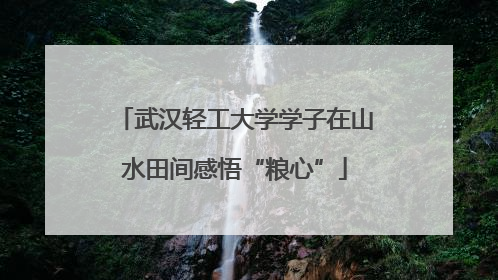 武汉轻工大学学子在山水田间感悟“粮心”
