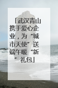 武汉青山携手爱心企业，为“城市天使”送端午暖“新”礼包