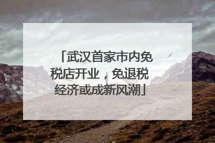 武汉首家市内免税店开业，免退税经济或成新风潮