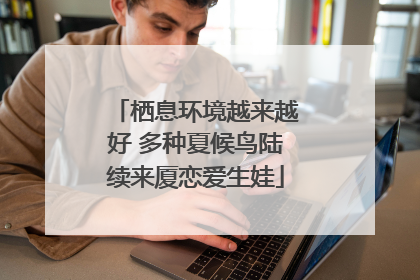 栖息环境越来越好 多种夏候鸟陆续来厦恋爱生娃