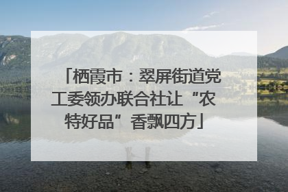 栖霞市：翠屏街道党工委领办联合社让“农特好品”香飘四方