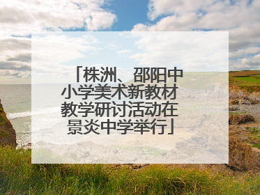 株洲、邵阳中小学美术新教材教学研讨活动在景炎中学举行