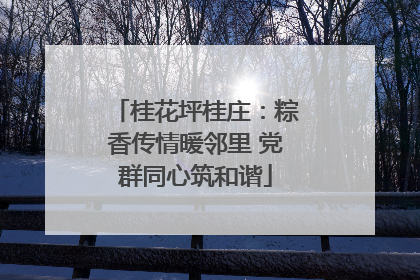桂花坪桂庄：粽香传情暖邻里 党群同心筑和谐