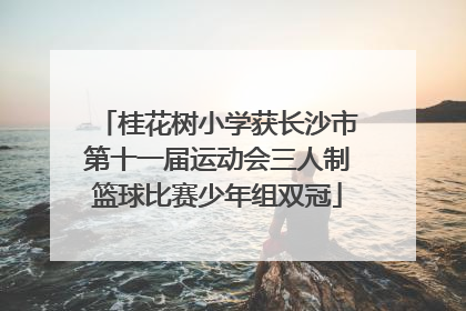 桂花树小学获长沙市第十一届运动会三人制篮球比赛少年组双冠