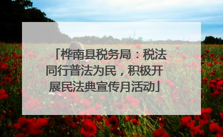 桦南县税务局：税法同行普法为民，积极开展民法典宣传月活动