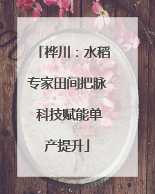 桦川：水稻专家田间把脉 科技赋能单产提升
