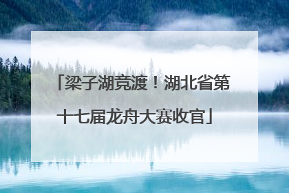 梁子湖竞渡！湖北省第十七届龙舟大赛收官