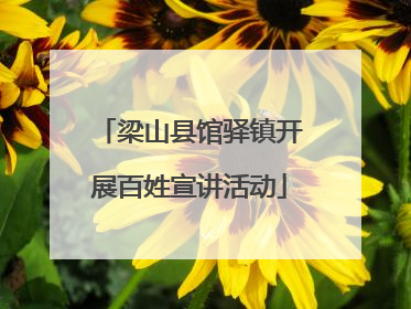 梁山县馆驿镇开展百姓宣讲活动
