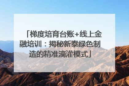 梯度培育台账+线上金融培训：揭秘新泰绿色制造的精准滴灌模式