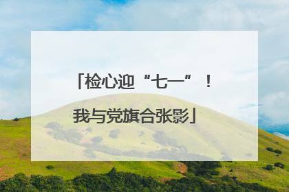 检心迎“七一”！我与党旗合张影