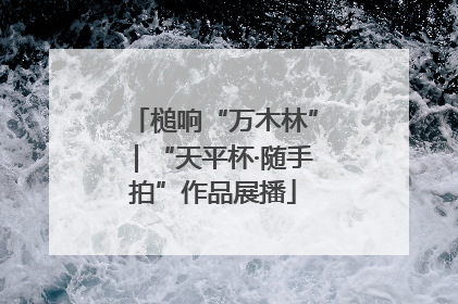 槌响“万木林”｜“天平杯·随手拍”作品展播