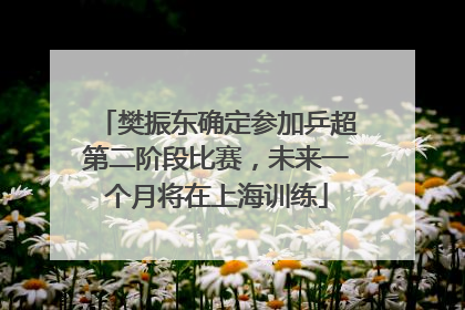 樊振东确定参加乒超第二阶段比赛，未来一个月将在上海训练
