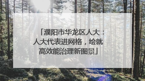 濮阳市华龙区人大：人大代表进网格，绘就高效能治理新图景