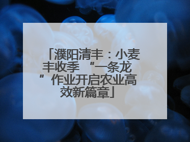 濮阳清丰：小麦丰收季 “一条龙”作业开启农业高效新篇章