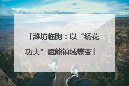 潍坊临朐：以“绣花功夫”赋能镇域蝶变