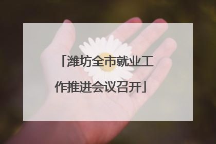 潍坊全市就业工作推进会议召开