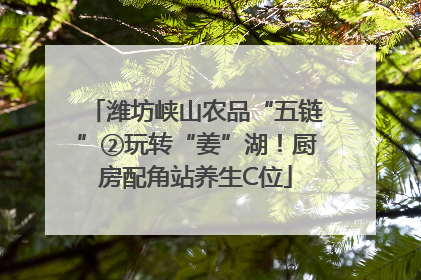 潍坊峡山农品“五链”②玩转“姜”湖！厨房配角站养生C位