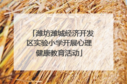潍坊潍城经济开发区实验小学开展心理健康教育活动