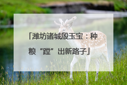 潍坊诸城殷玉宝：种粮“蹚”出新路子