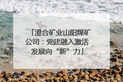 澄合矿业山阳煤矿公司：党建融入激活发展向“新”力
